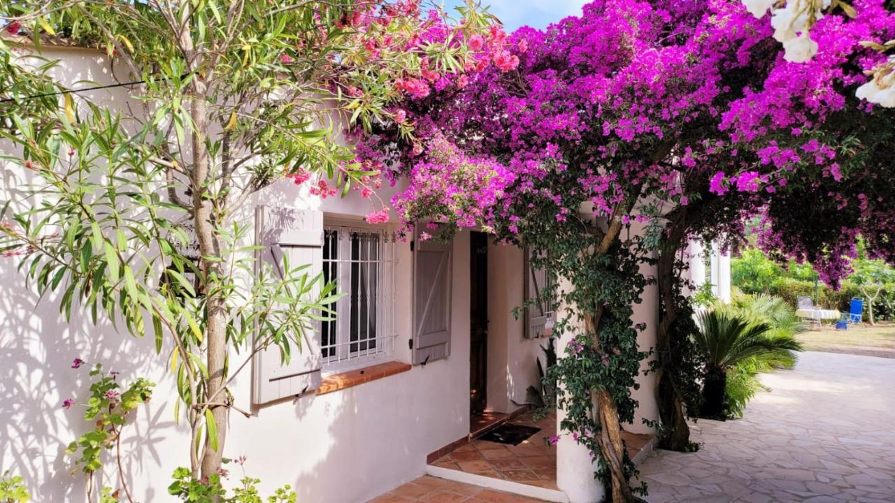 Villa Provencale A Sainte Maxime, Golf De Saint Tropez Dış mekan fotoğraf