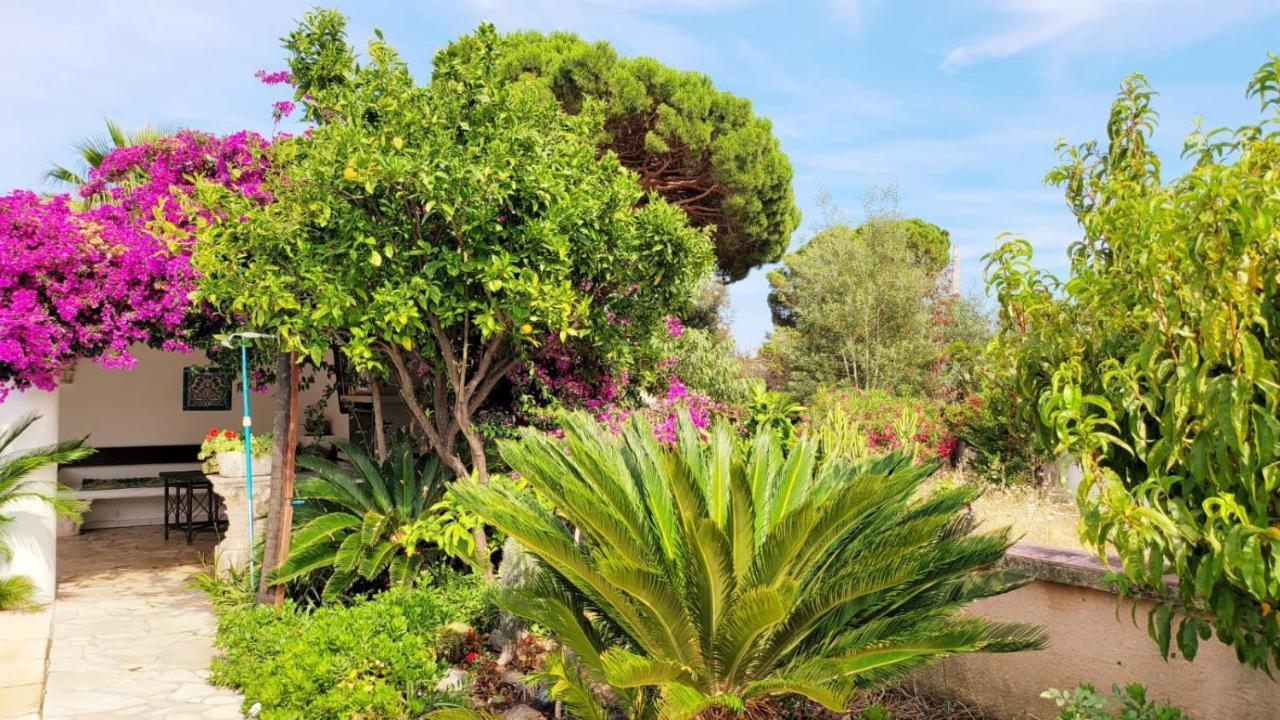 Villa Provencale A Sainte Maxime, Golf De Saint Tropez Dış mekan fotoğraf