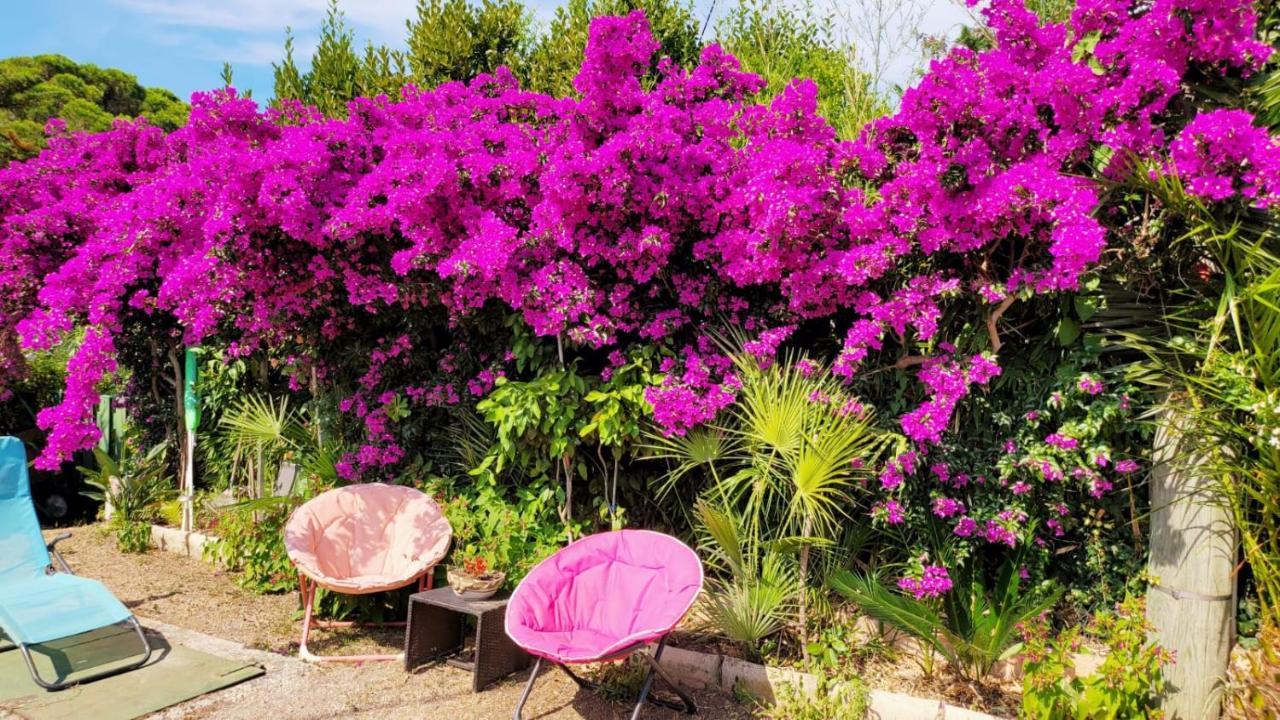 Villa Provencale A Sainte Maxime, Golf De Saint Tropez Dış mekan fotoğraf