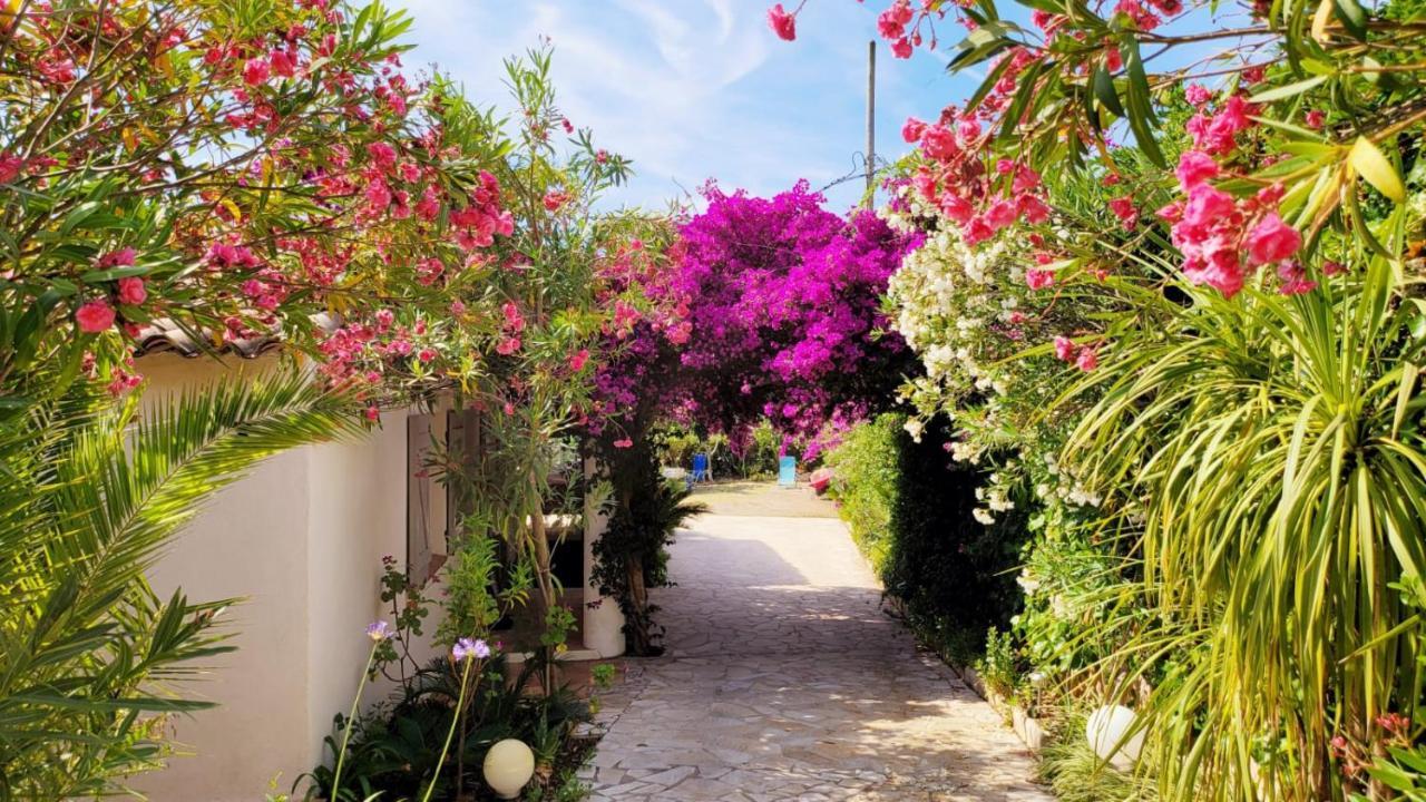 Villa Provencale A Sainte Maxime, Golf De Saint Tropez Dış mekan fotoğraf