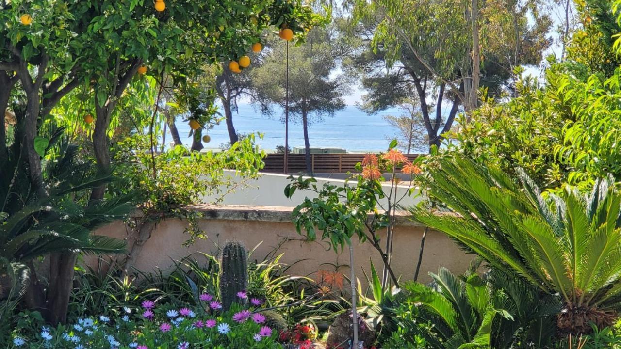 Villa Provencale A Sainte Maxime, Golf De Saint Tropez Dış mekan fotoğraf