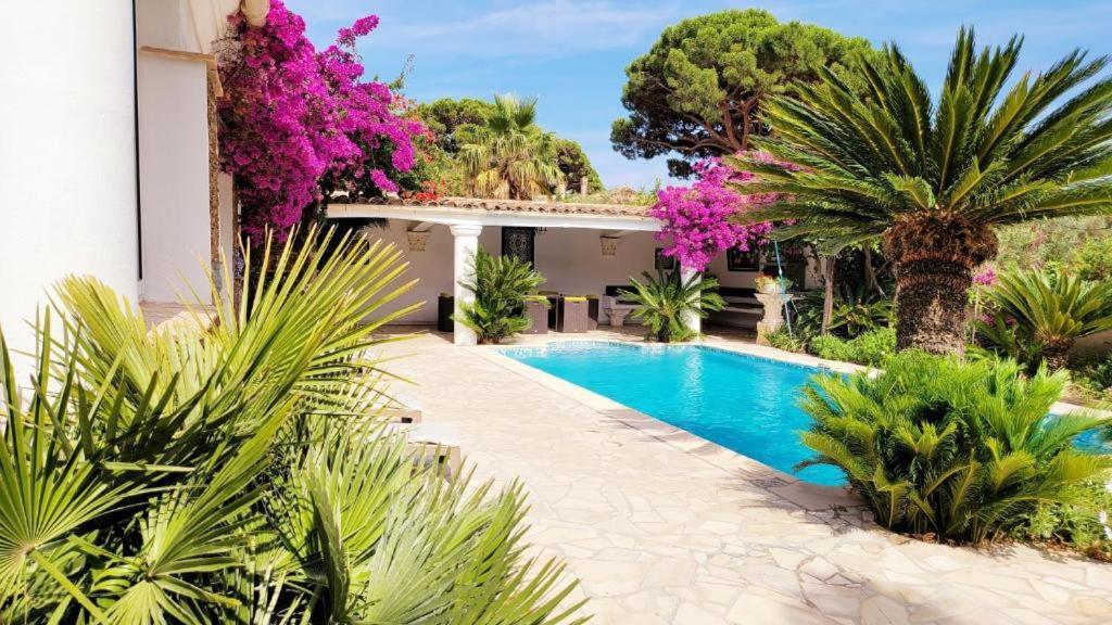 Villa Provencale A Sainte Maxime, Golf De Saint Tropez Dış mekan fotoğraf