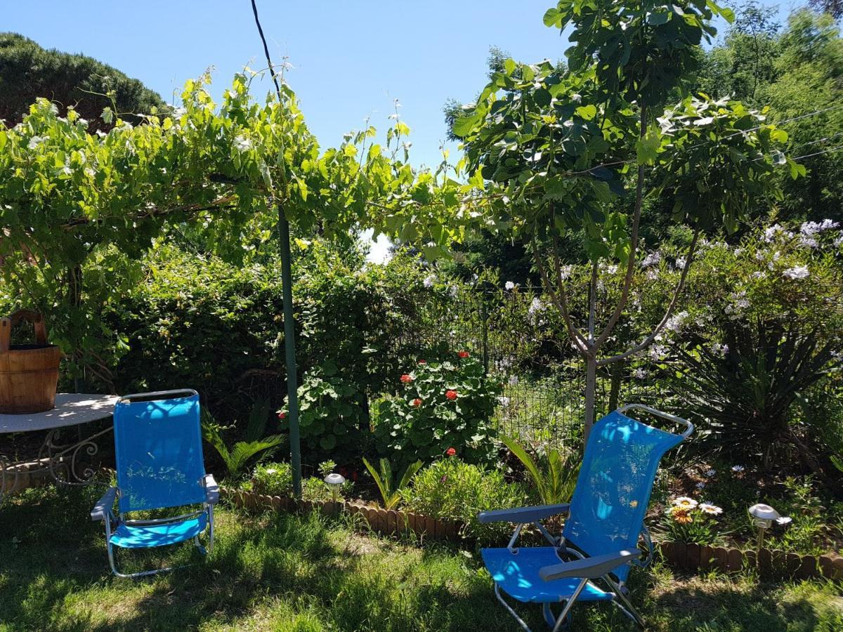 Villa Provencale A Sainte Maxime, Golf De Saint Tropez Dış mekan fotoğraf